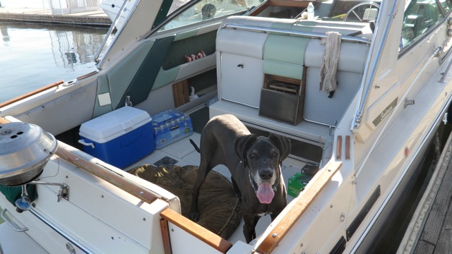 Kosh on the back of the boat