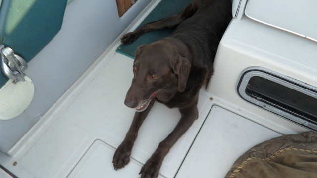 Cadbury on the back of the boat