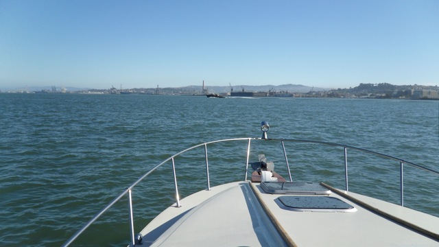 Floating in Mission Bay