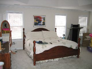 Master Bedroom...what am I going to do with all this room?