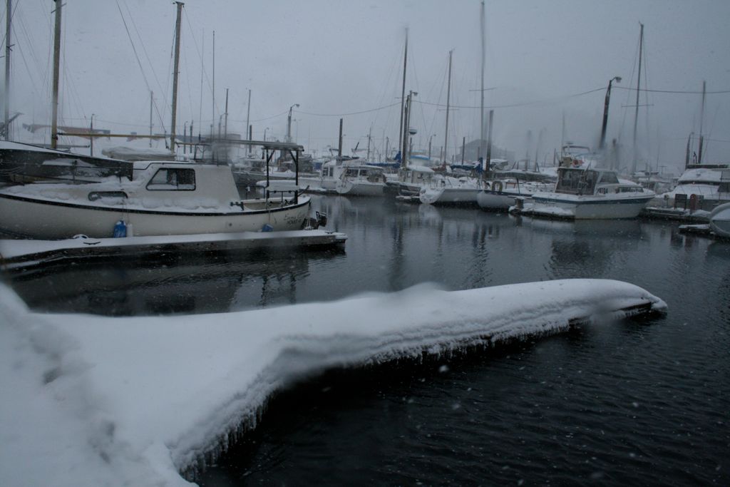 Snow on the docks