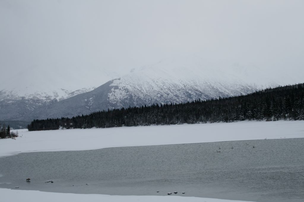 Snow covered lake