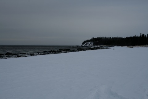 Looking out into the ocean