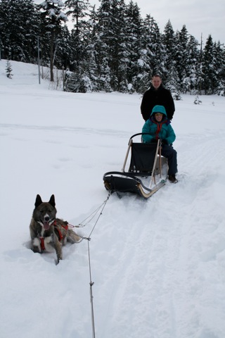 Resting dog, Myke and Rob