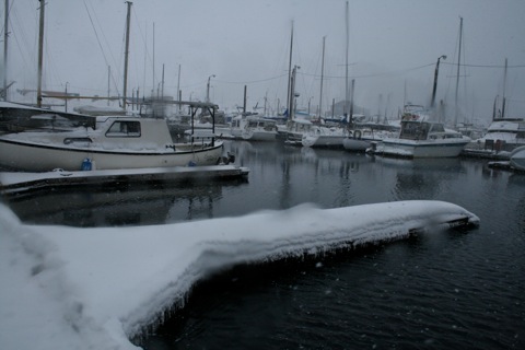 Snow on the docks