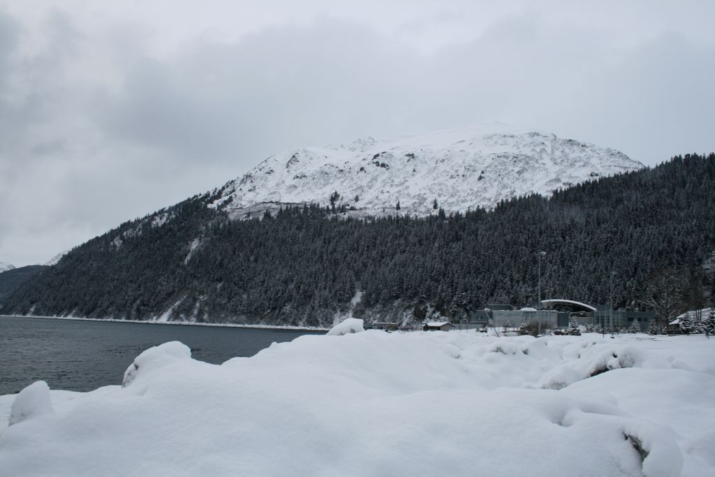 Alaska SeaLife center from afar