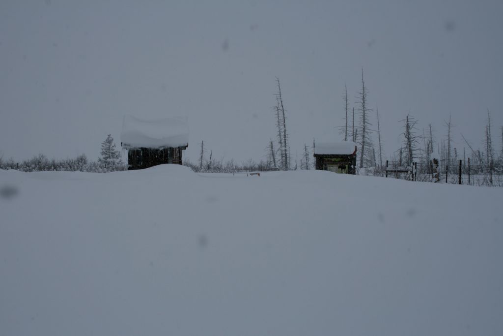 Wildlife reserve closed due to snow