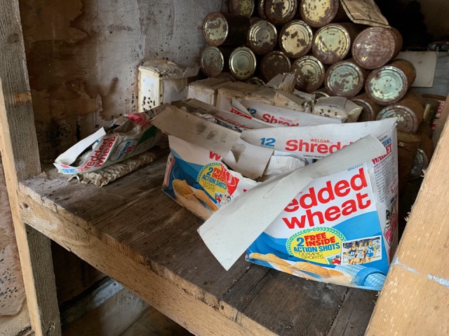 Boxes of Shredded Wheat