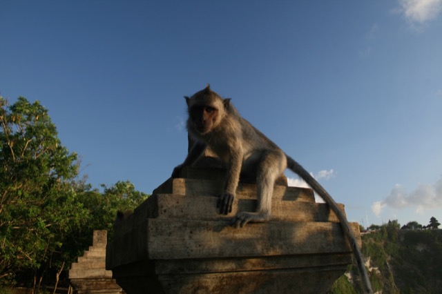 Spike on the column