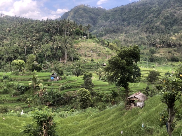 Terraced fields