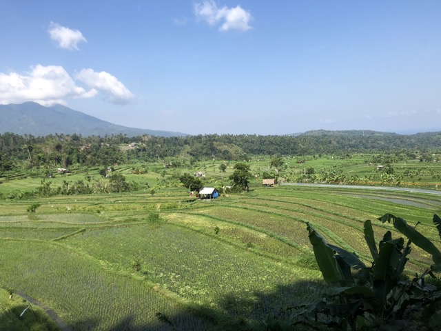 More fields on the drive back