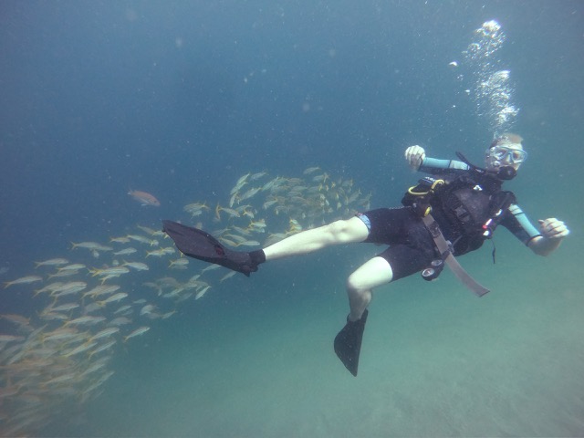 James scuba diving with school of fish behind him