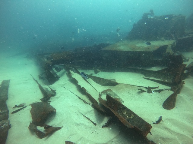 Lundenberg shipwreck which sank in 1954 and undercovered even more with the recent hurricane