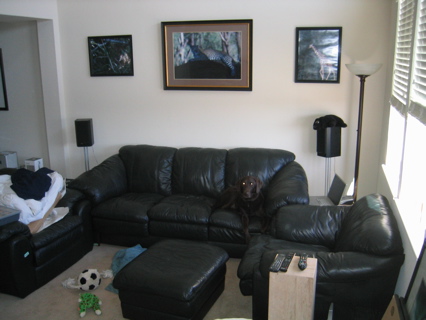 Living Room / Myke's Office