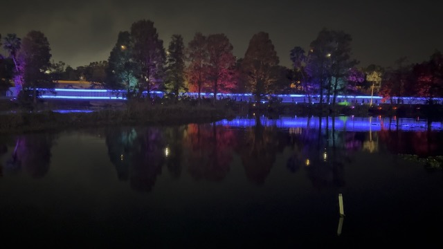 Memory Lane reflected in the pond