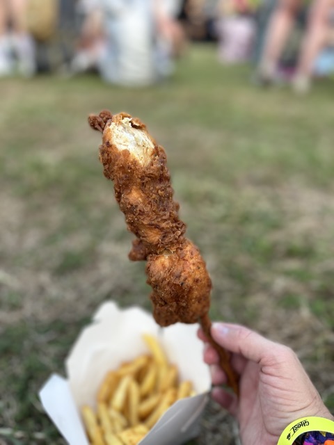 Chicken on a stick! (was pretty good but a little dry)