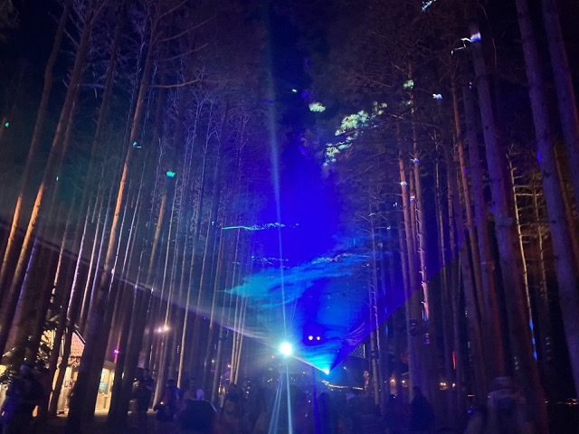 Lasers through the forest