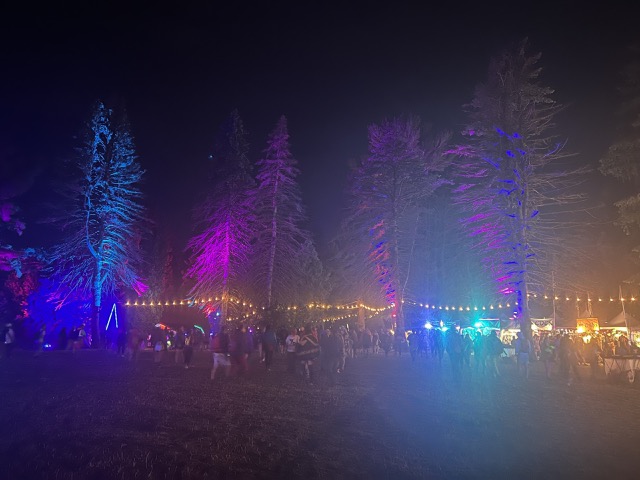 Closing out my first year at Forest