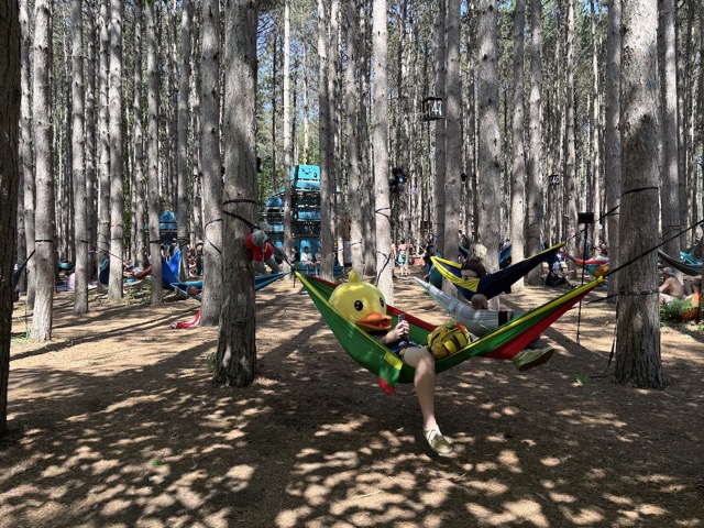 A duck in a hammock