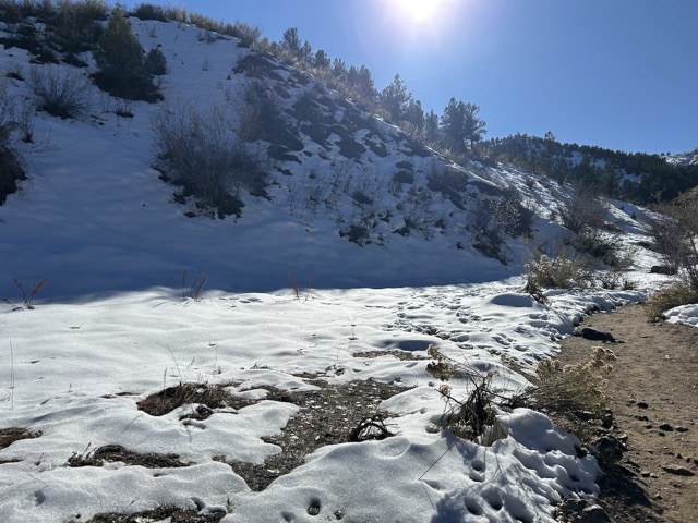 Hiking the Cedar Gulch trail at Mount Galbraith