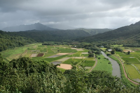 Hanalei valley