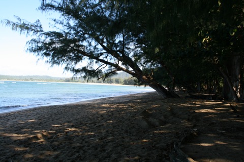 Beach in North Kauai