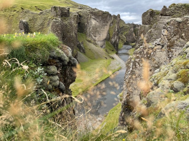 Artistic shot of the Fjaðrárgljúfur Canyon