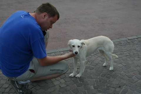 Rob petting a stray dog