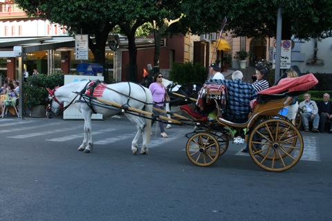 Pony being used to carry people