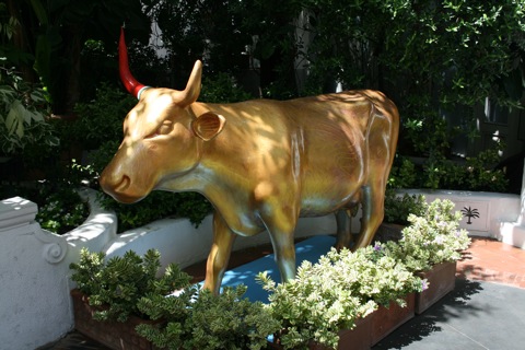 Golden cow