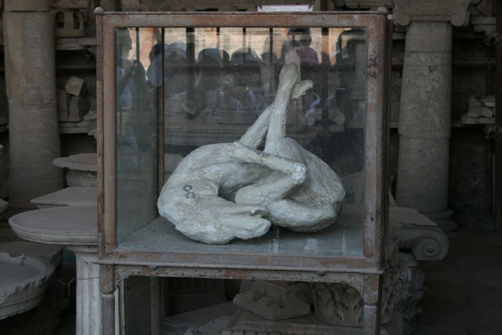 Preserved dog covered in ash