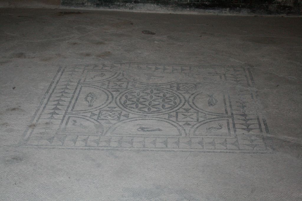 Casa del Poeta Tragico: Floor of the living room