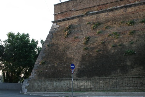 Wall of the Vatican City