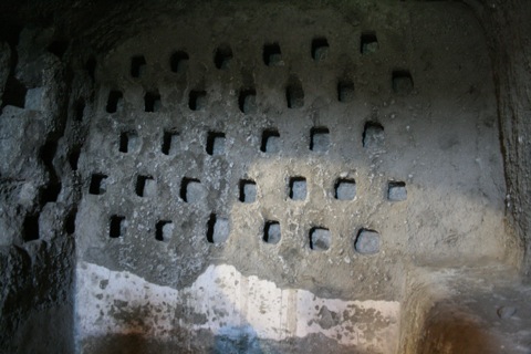 Holes where pigeons could nest