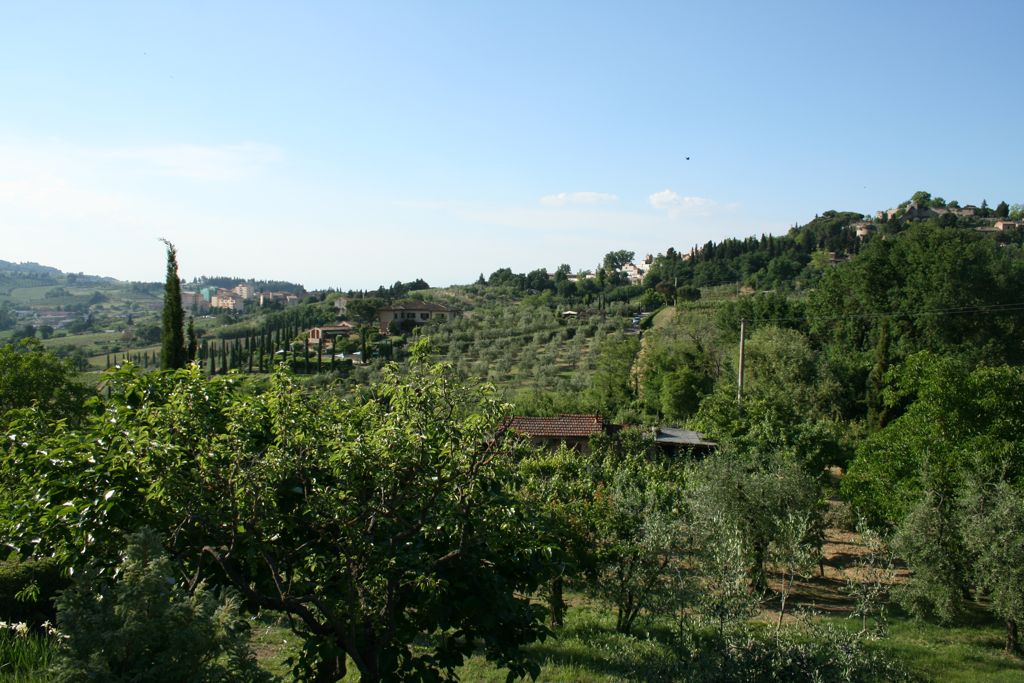 Vineyards