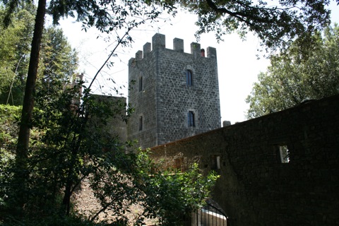 Castle tower