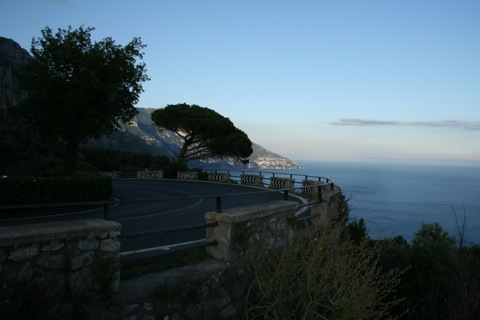 Road with tree