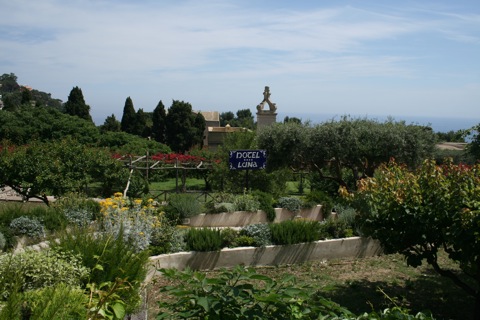 Hotel Luna garden