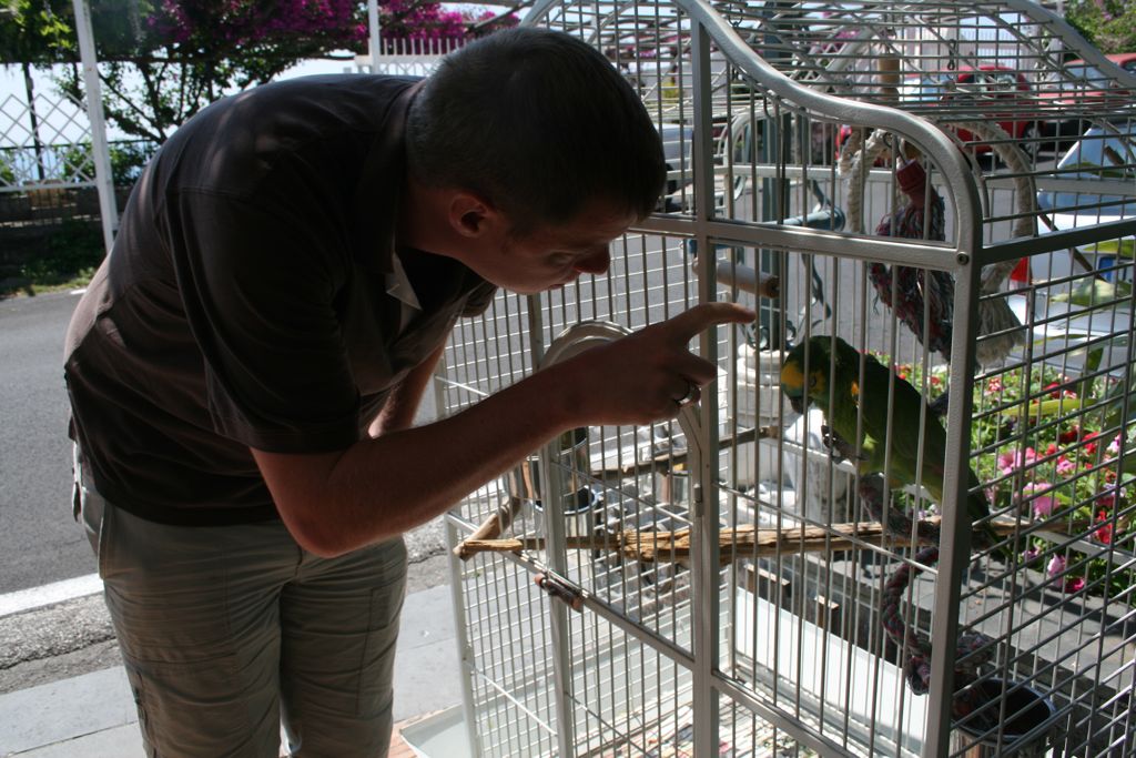 Rob playing with the parrot at the hotel