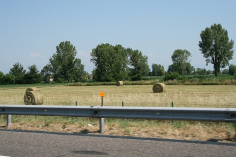 Hay bales