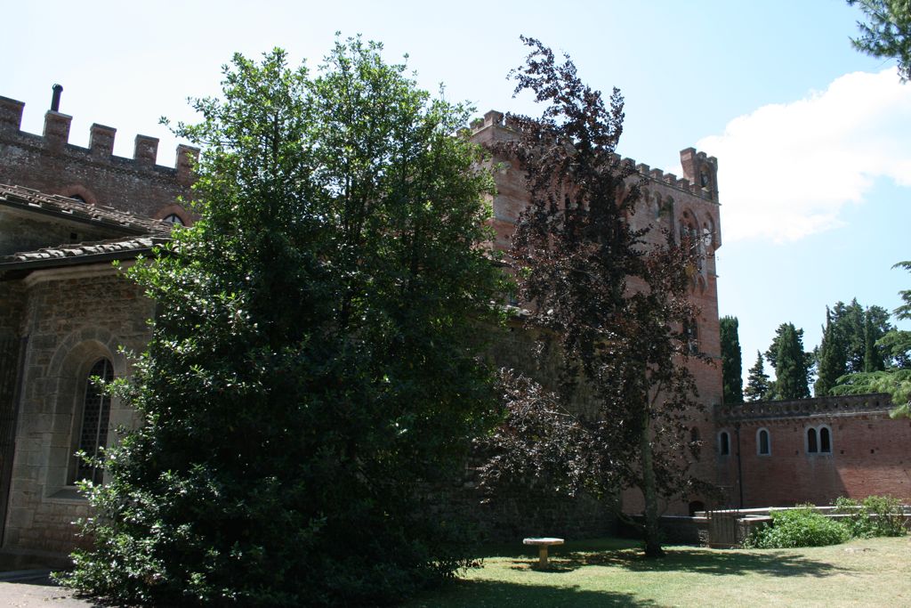 Inside castle wall