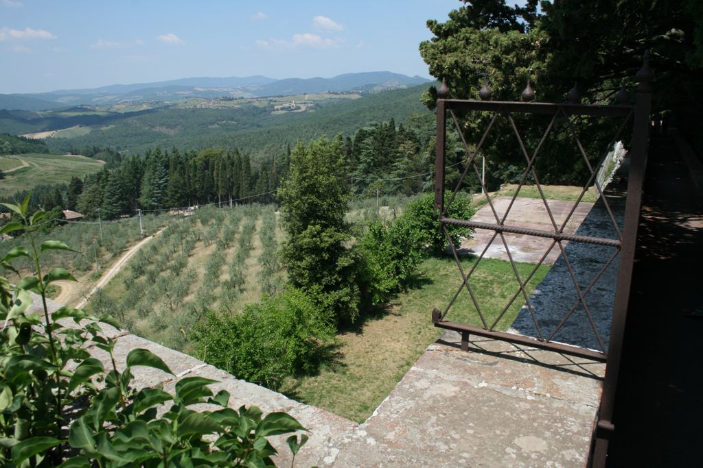 Vineyards