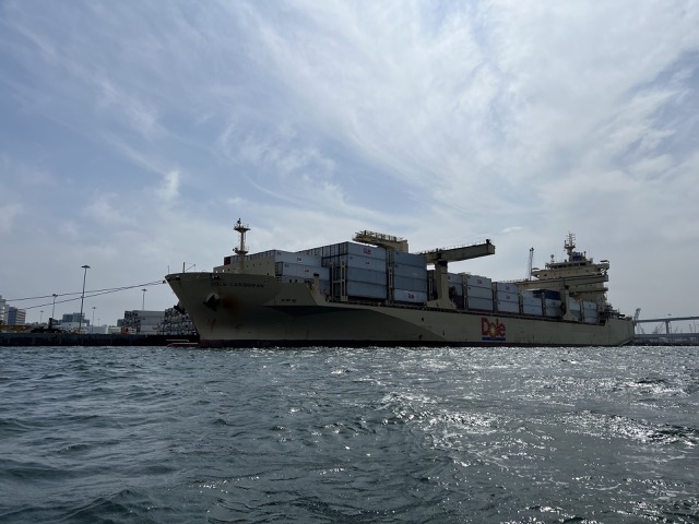 Dole cargo ship