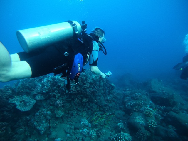 James, diving