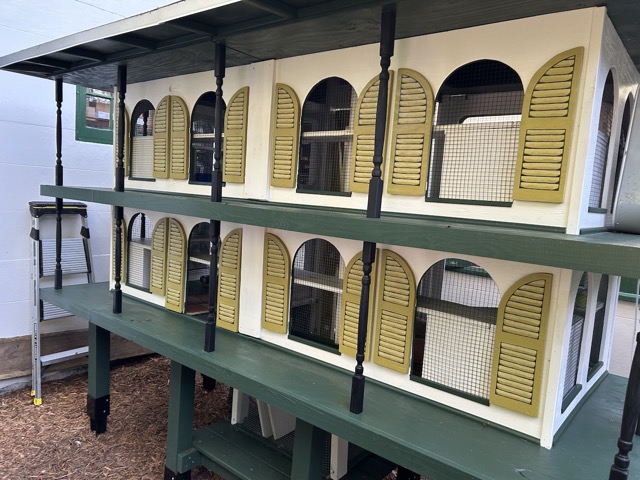 Cat Hotel at the Hemingway House