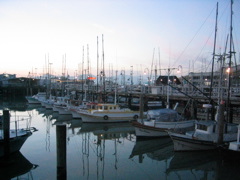 SF Harbor