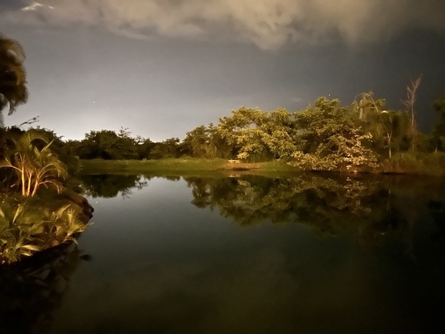 Pond at Vidanta Resort