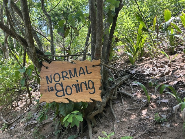 Normal is boring.