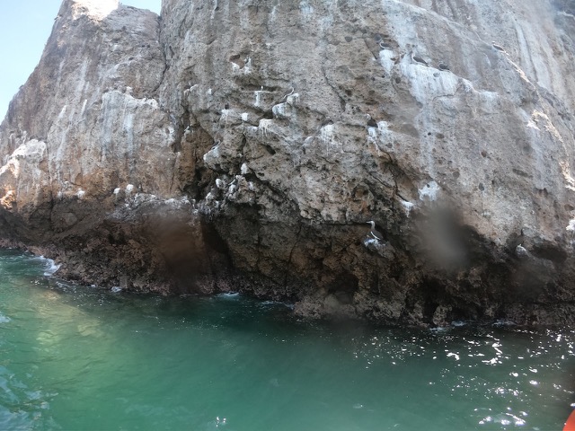 Birds on the rocks at the Marietas Islands