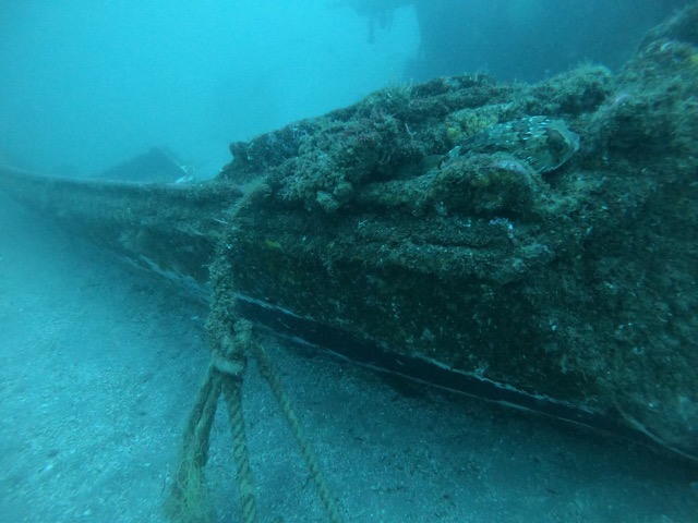 Porcupinefish guarding one of the smaller boats